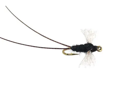 Tricorythodes Dun 18