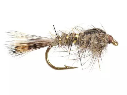 Gold Ribbed Hares Ear 16