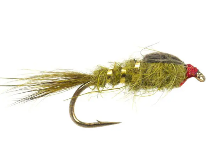 Olive G.R. Hares Ear Wtd 10