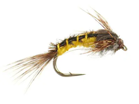 Baetis Yellow Nymph 12