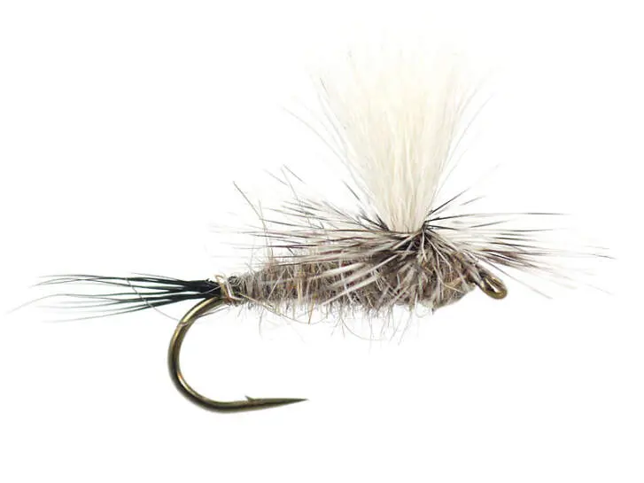 Hares Ear Parachute Superb 12