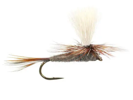 Adams Parachute Superb 12