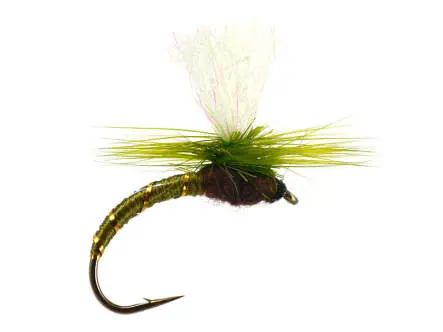 Klinkhammer Olive 14