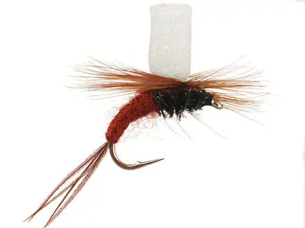 Foam Tailed Klinkhammers Brown 12