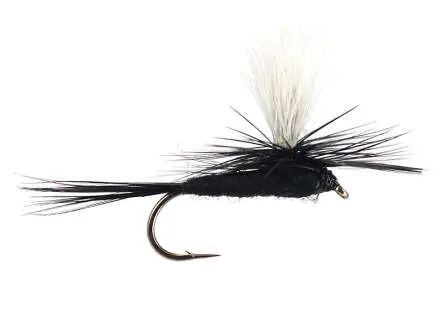 Parachute Black Gnat 14