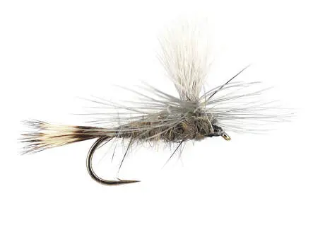 Hares Ear Parachute 14