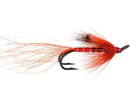 Ally Shrimp Orange dou 4
