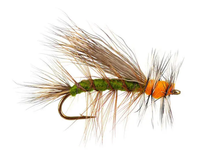 Stimulator Olive 10