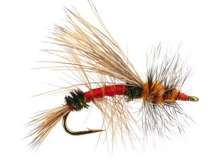 Stimulator Royal 10