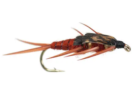Double BH Brown Stonefly 6
