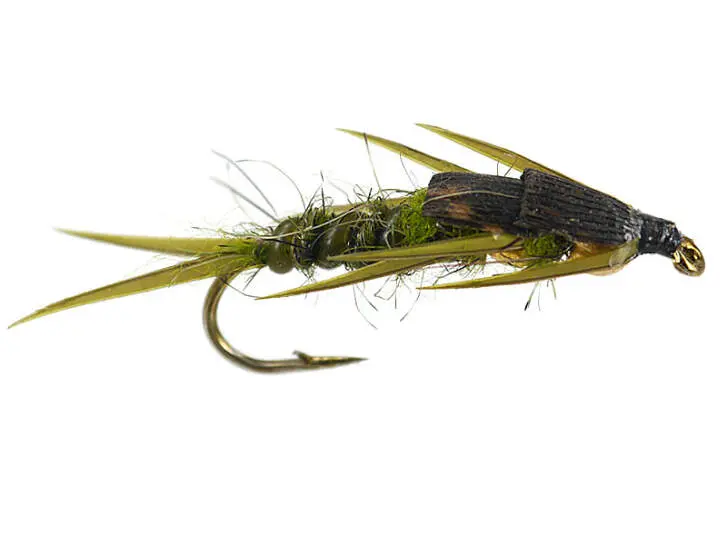 Double BH Olive Stonefly 8