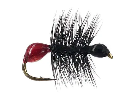 Hard Body Bicoloured Red Black Ant 12