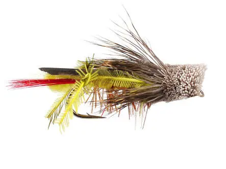 Davis Hopper 10