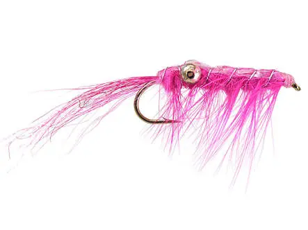 Glimmershrimp Pink 6
