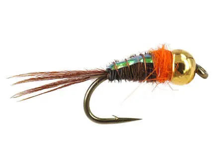 TG Tinsel Pheasant O Nymph 14