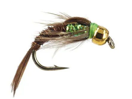 Ales TG Verdina Pheasant 10