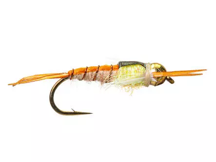 TG Yellow Sally Classic 14