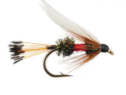 Royal Coachman 12