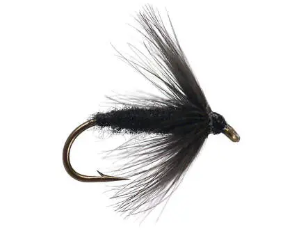 Black Spider 14