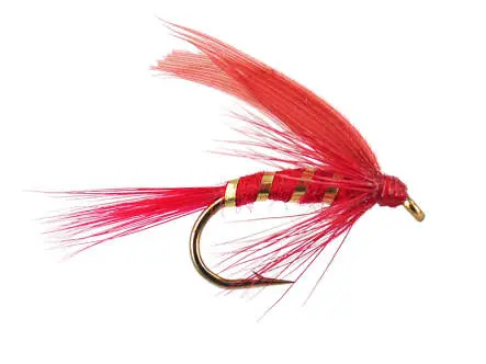 Red Ibis 14