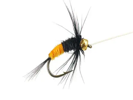 Rienz Premium BI Yellow 14