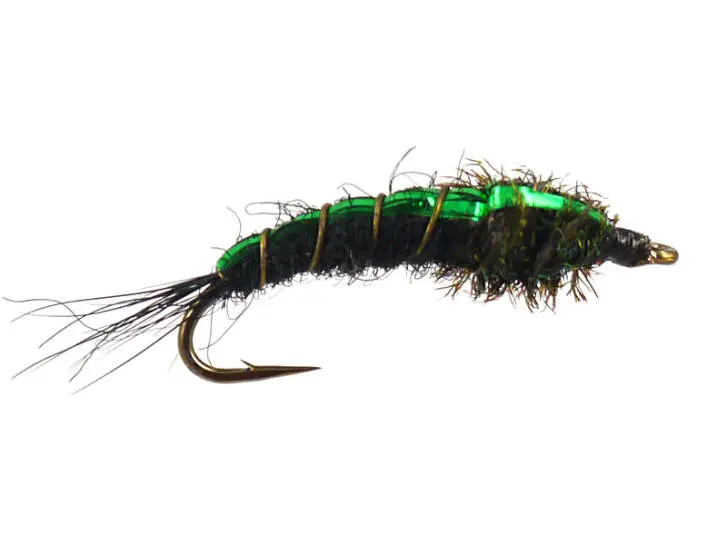 Green Back Peacock Nymph 14