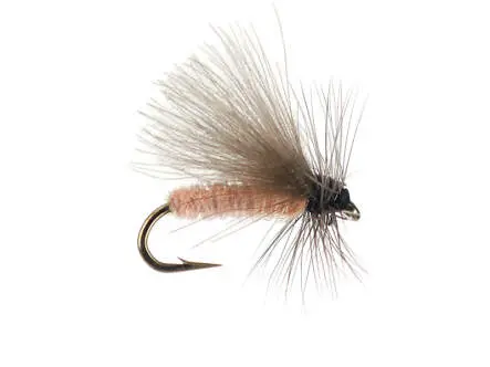 G1 Grayling CDC - Salmon 18