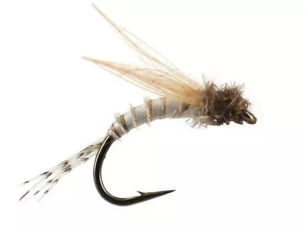 Bwo Emerger 01