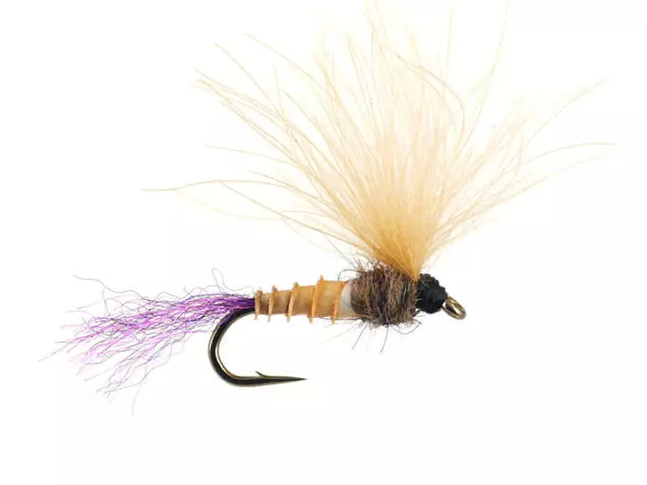 Bwo Emerger 02