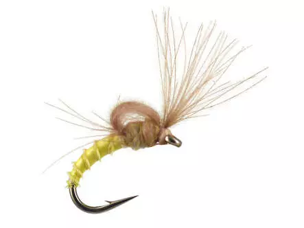 Bwo Loopwing Tuft Emerger