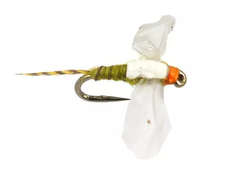 Bwo Cripple 02