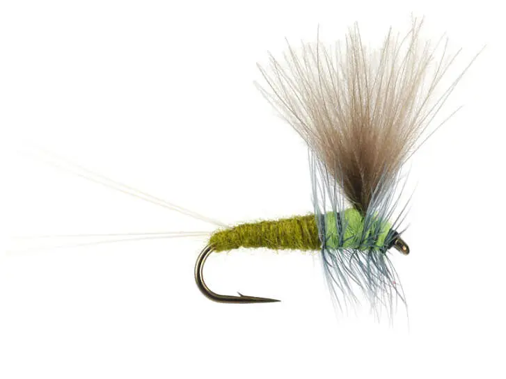 Bwo Dun 01