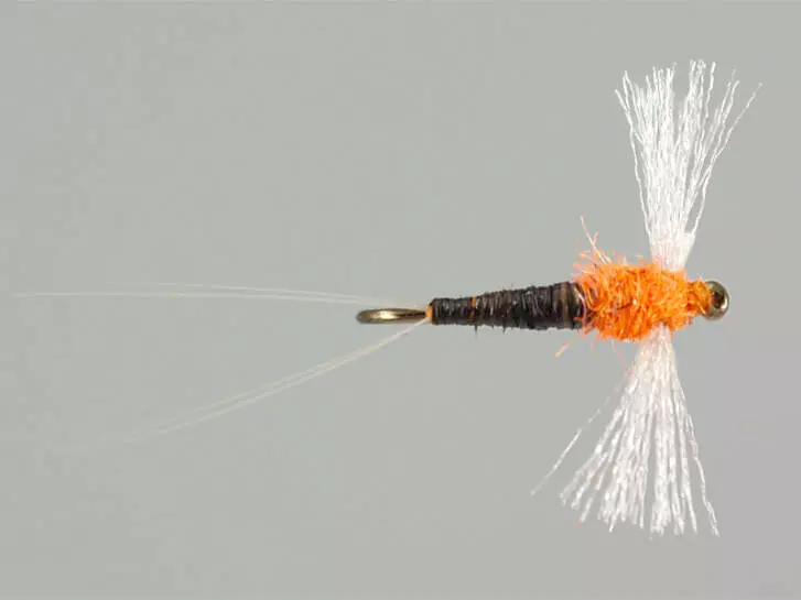 Bwo Spent Male