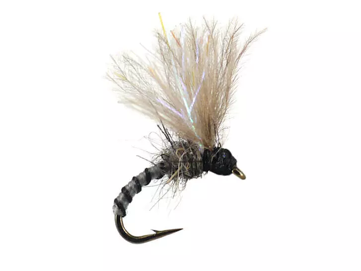 Caenis Emerger 01