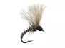 Caenis Emerger 01