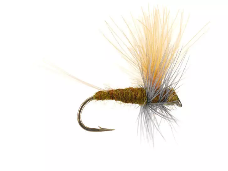 Olive Dun Cut Thorax - Dark Olive