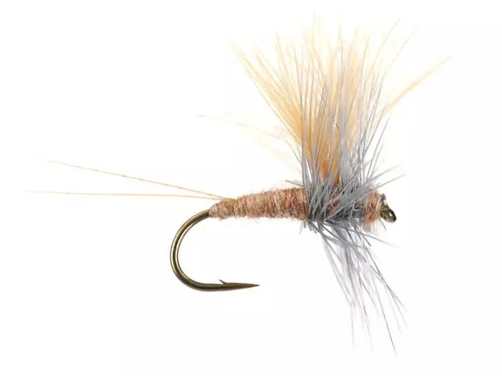 Olive Dun Cut Thorax - Iron Blue