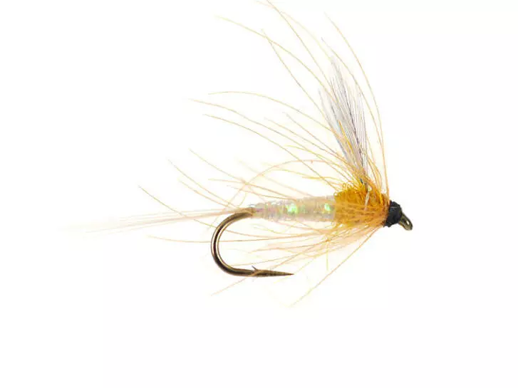 Olive Spinner - Amber