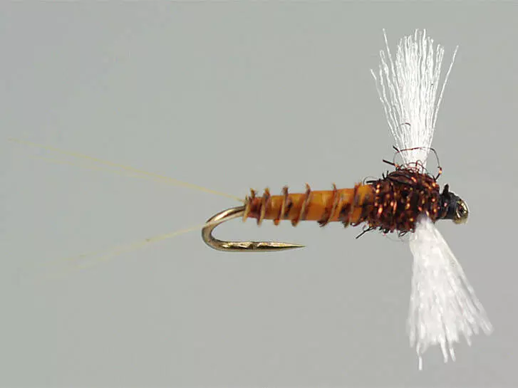 Olive Spent 03 - Dark Brown