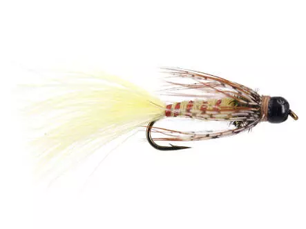 E-Nymph