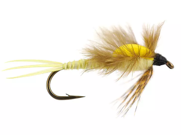 E-Surface Nymph