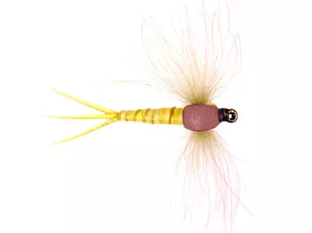 E Dun