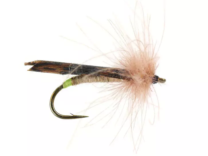 S2 Brown Sedge - Brown