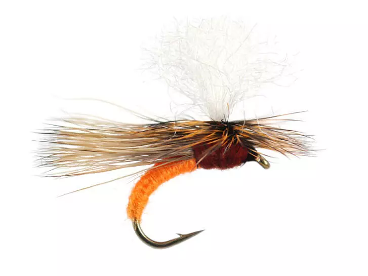 S10 Transition Fast Water - Orange