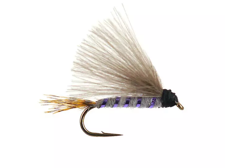 G5 Shining Dun - Purple