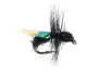 G7 Black Ant 01