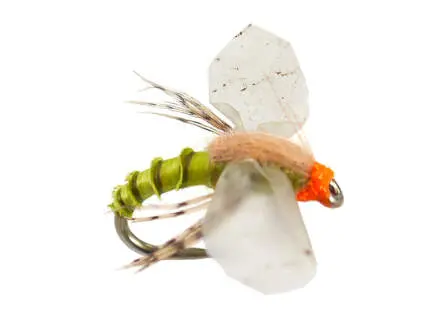 Bwo Cripple 01 18