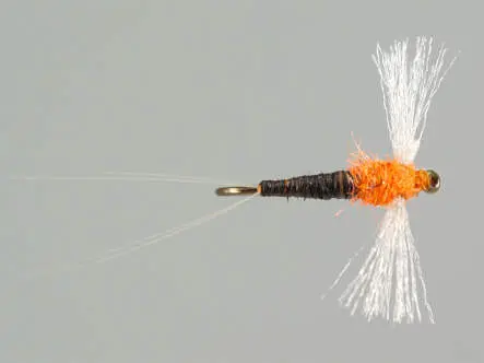 Bwo Spent Male 18