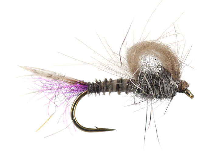 Olive Straight Loopwing Emerger - Iron Blue 14