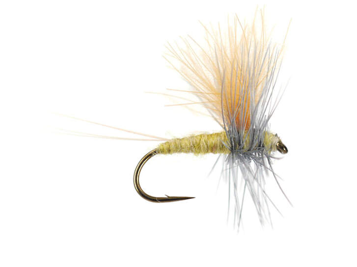 Olive Dun Cut Thorax - Pale Olive 14